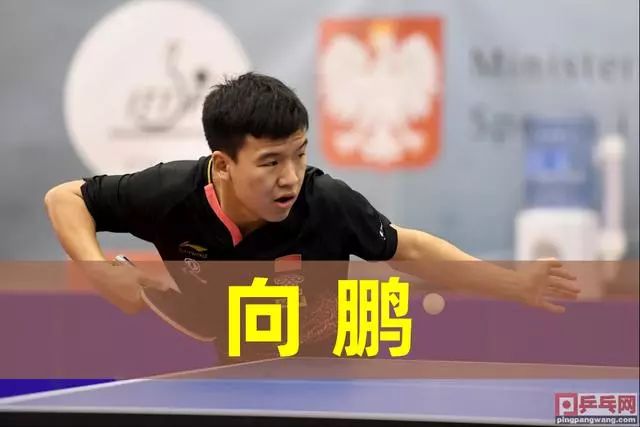 本文将深入 本文将深入