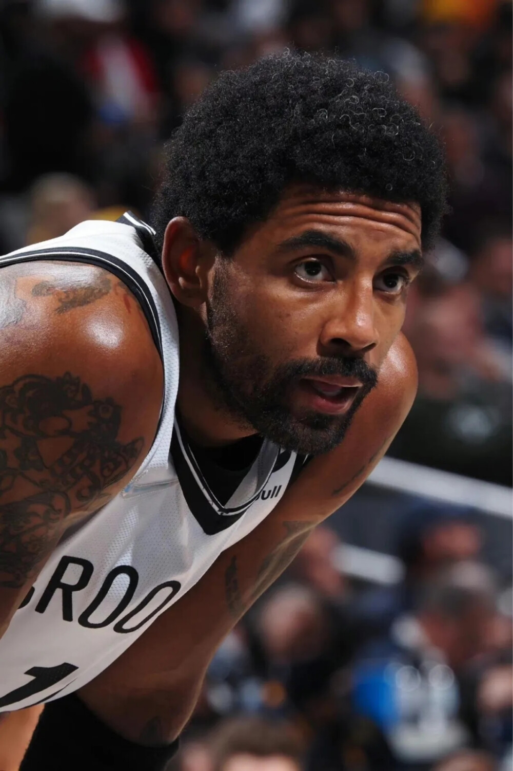 多特蒙德会 多特蒙德会