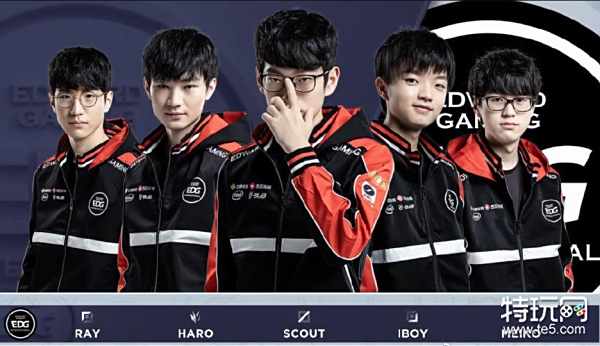 鹰队的球迷 鹰队的球迷